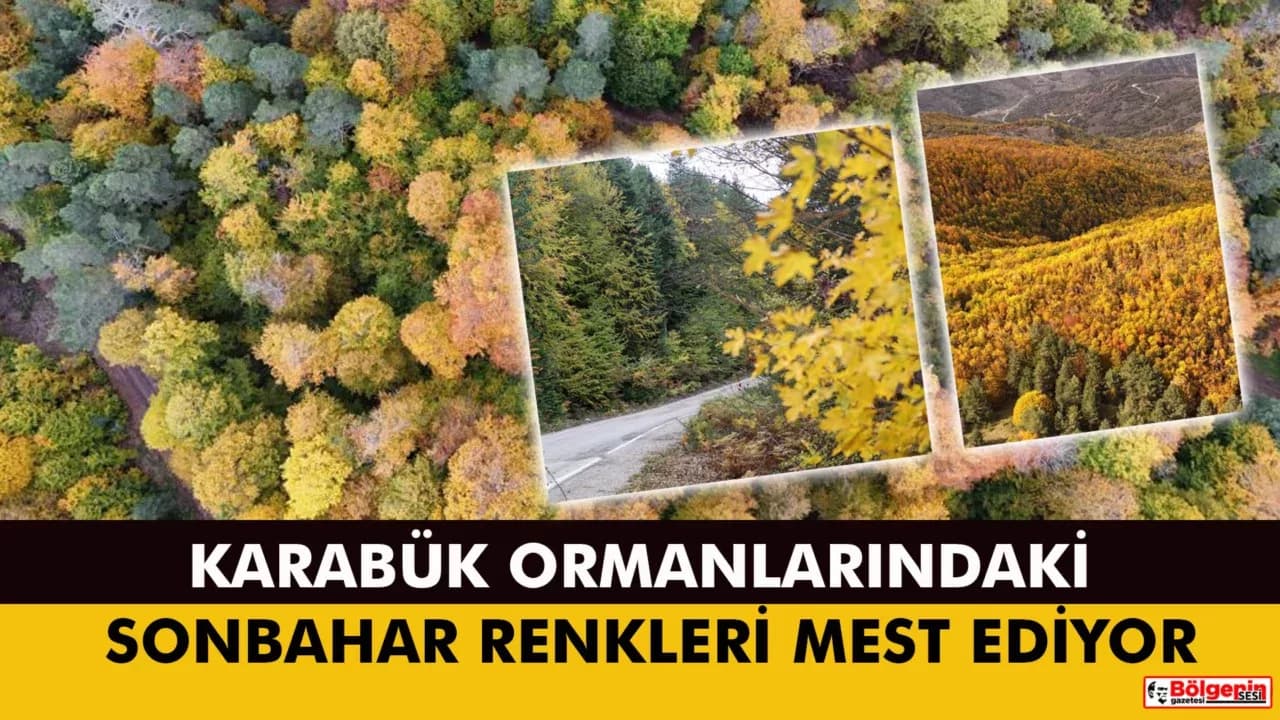 Karabük Ormanlarındaki Sonbahar Renkleri Mest Ediyor