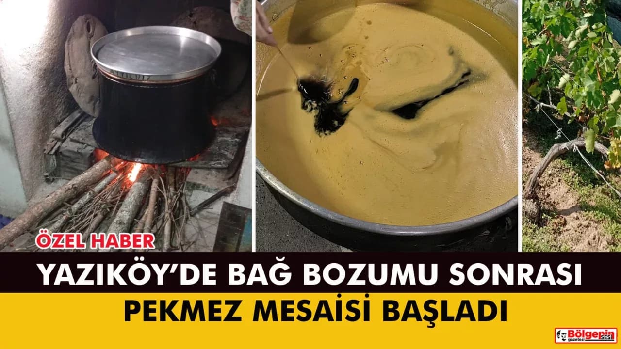 Yazıköy’de Bağ Bozumu Sonrası Pekmez Mesaisi Başladı