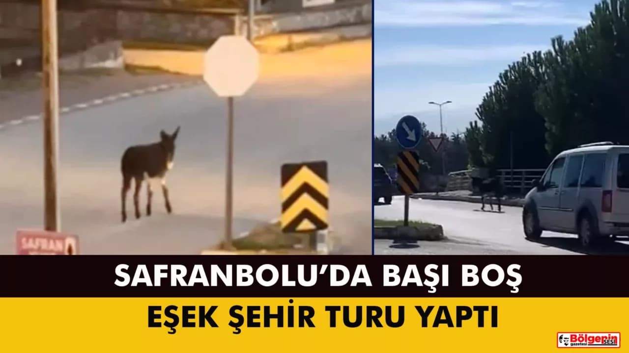 Safranbolu Sokaklarında Eşek Sürprizi