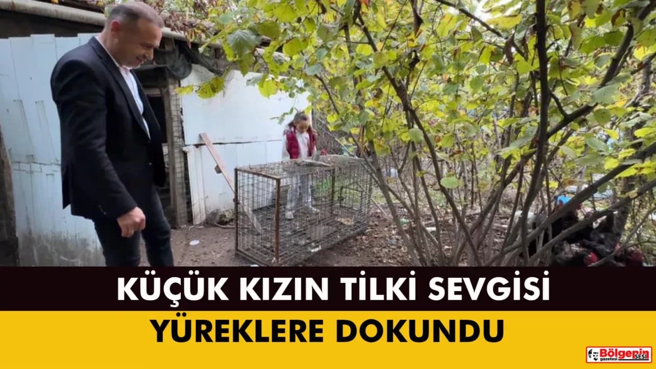 Safranbolu’da Küçük Kızın Tilki Sevgisi Yüreklere Dokundu
