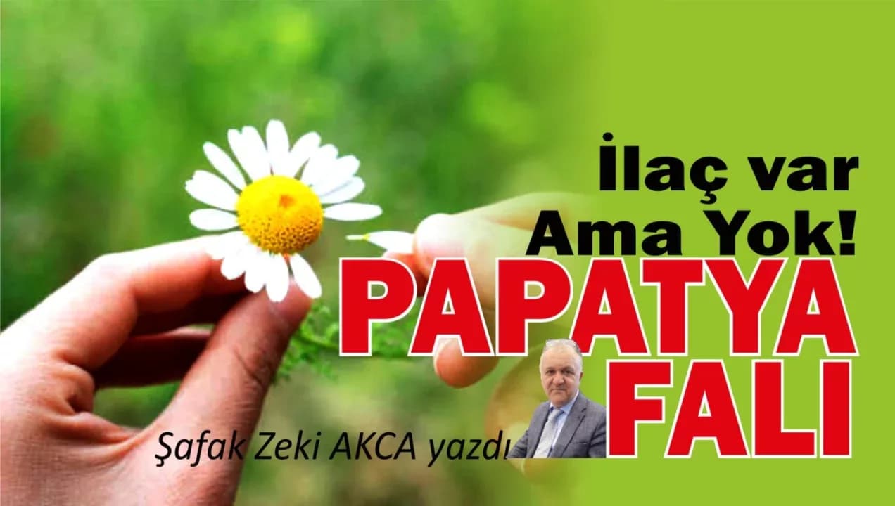İlaç Var Ama Yok! Papatya Falı Gibi...