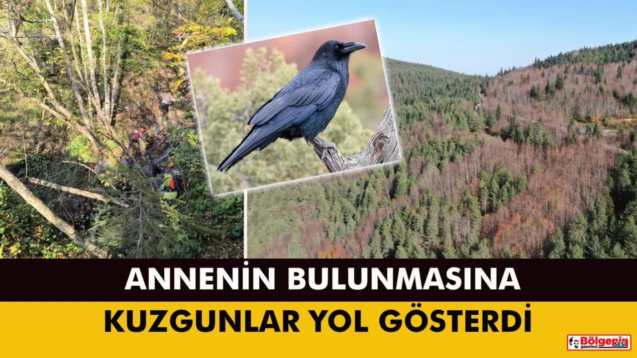 KASTAMONU'DA ANNENİN BULUNMASINA KUZGUNLAR YOL GÖSTERDİ