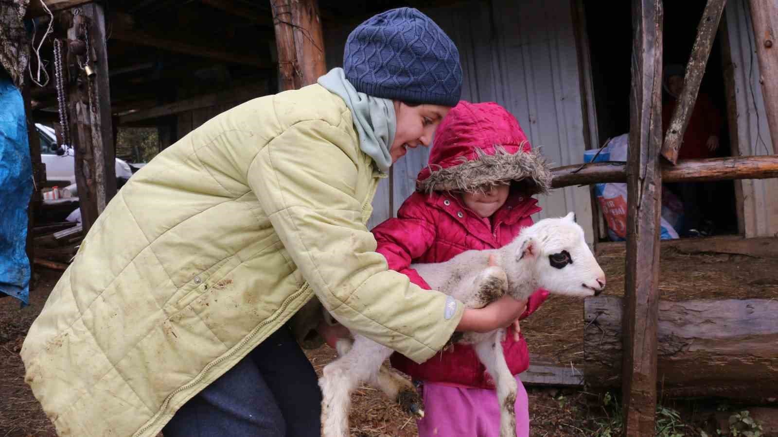 Bolu’da yaylalardan köylere göç başladı