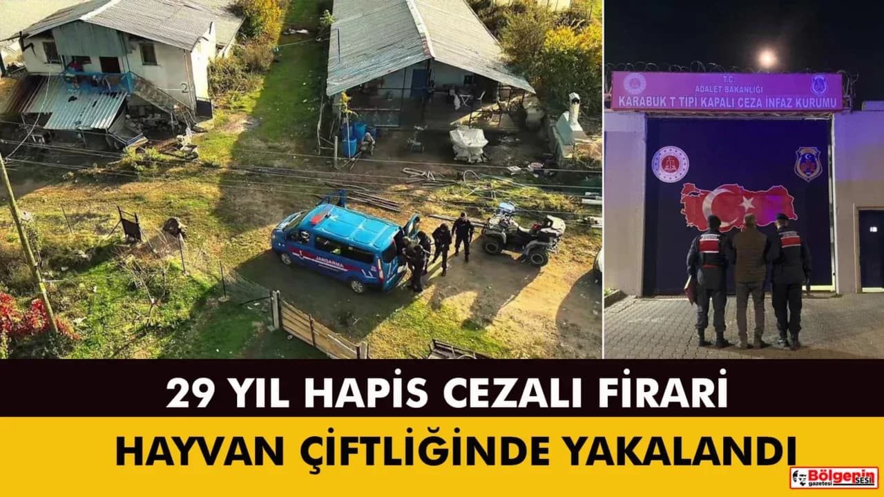 Üç yıldır aranan 29 yıl hapis hükümlüsü firari hayvan çiftliğinde yakalandı