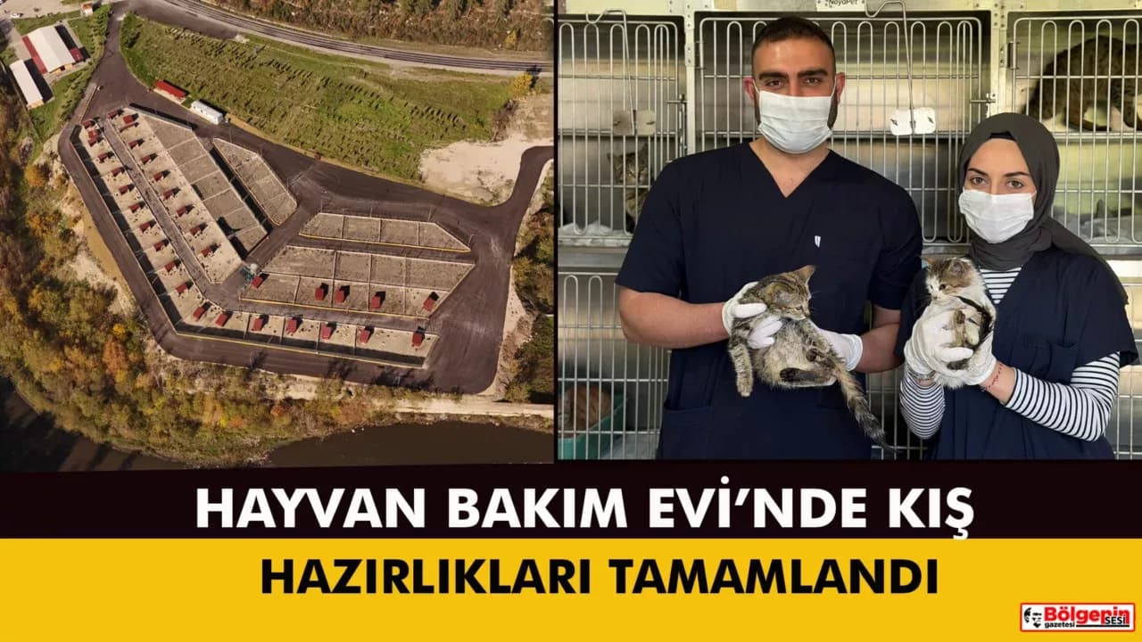 Başkan Çetinkaya: “Hem vatandaşlarımız hem can dostlarımız artık güvende”