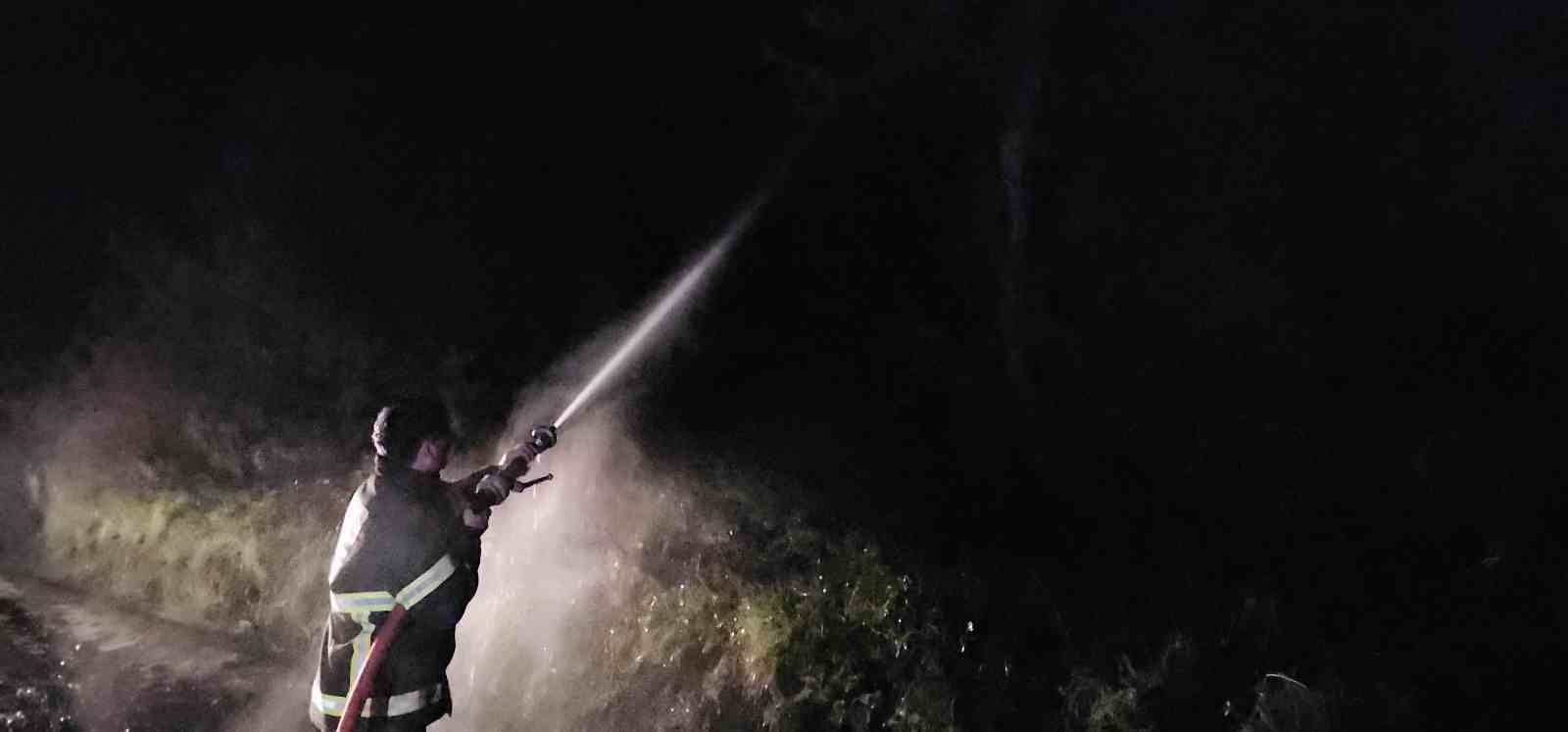 Kastamonu’da çıkan orman yangını söndürüldü