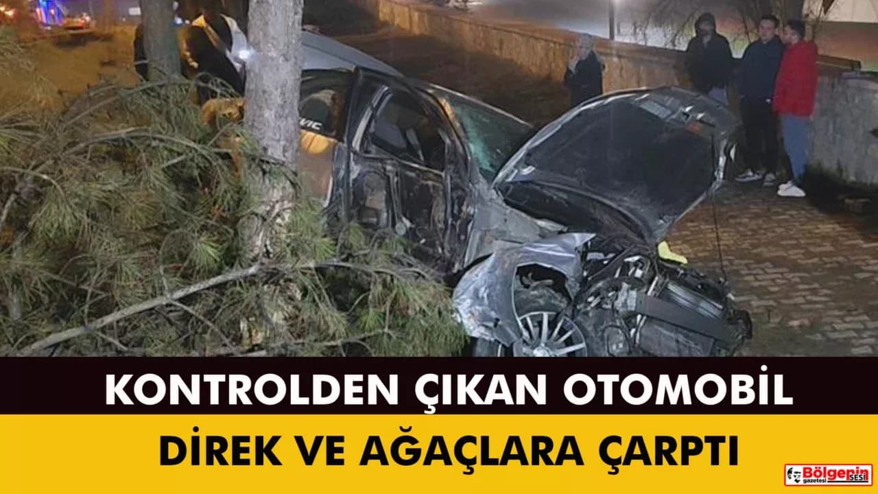 Kontrolden çıkan otomobil, direk ve ağaçlara çarptı: 1 yaralı