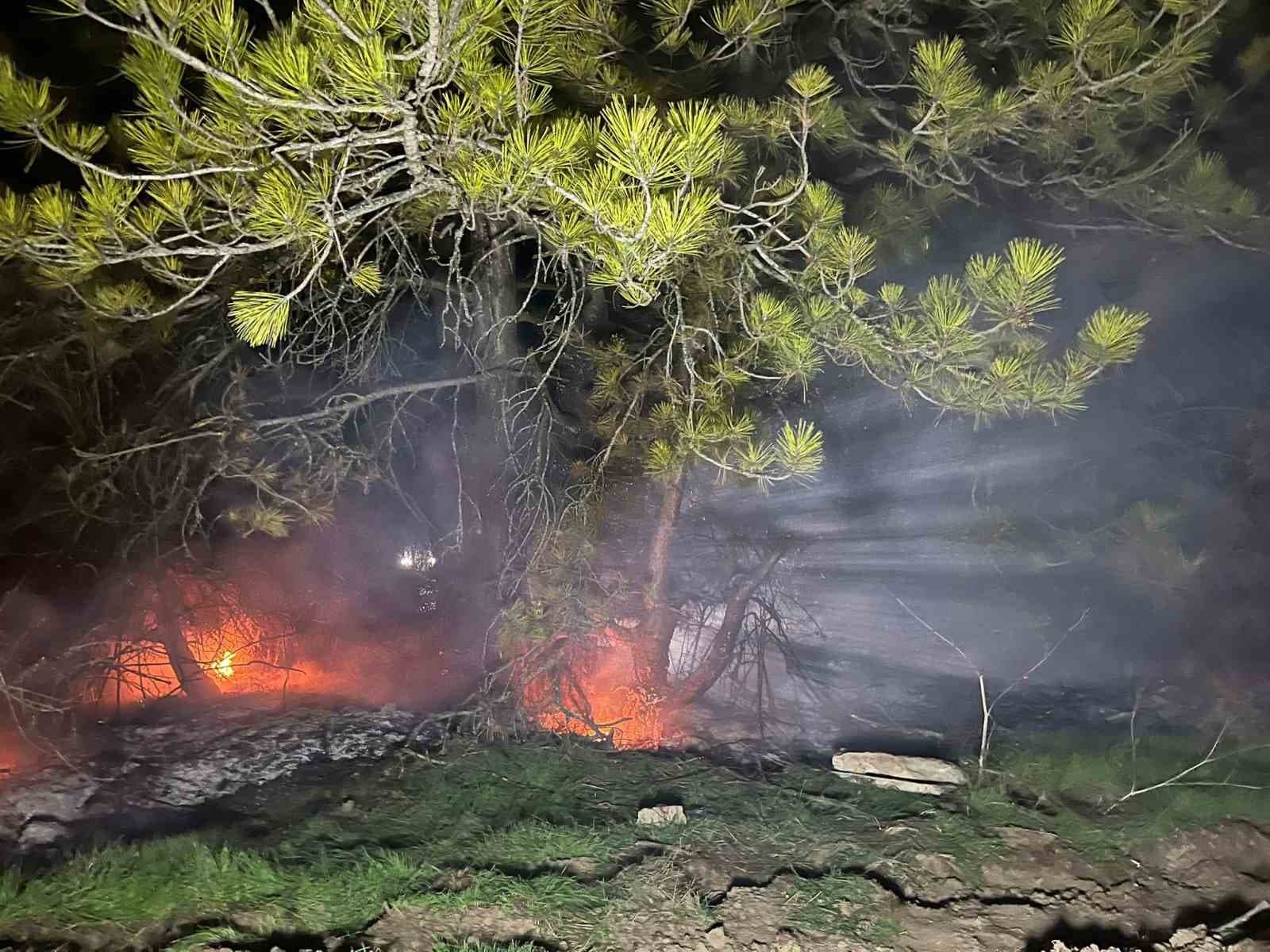 Bolu’da ormanlık alanda yangın çıktı