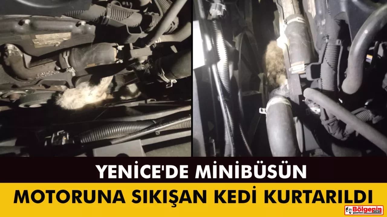 Yenice'de minibüsün motoruna sıkışan kedi kurtarıldı