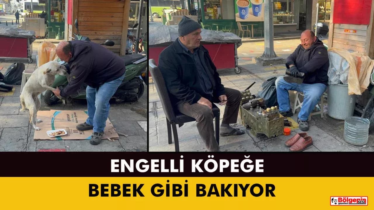 Hayata tutunan engelli köpeğe bebek gibi bakıyor
