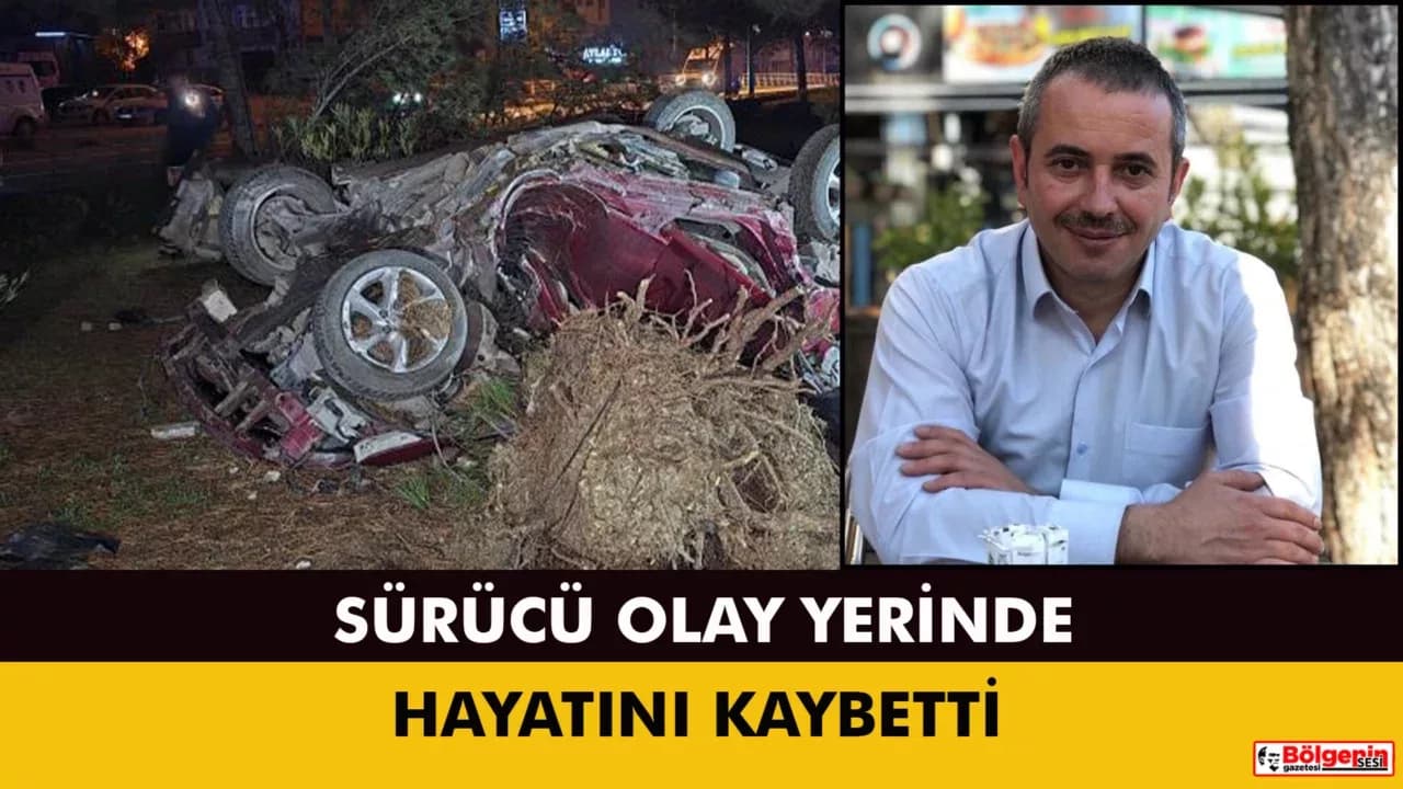 Otomobil, takla atarak çarptığı ağacı kökünden söktü: 1 ölü