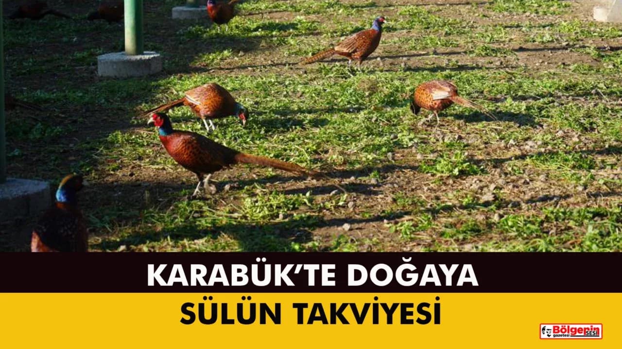 KARABÜK’TE TARIMSAL ZARARLIYA DOĞAL ÇÖZÜM