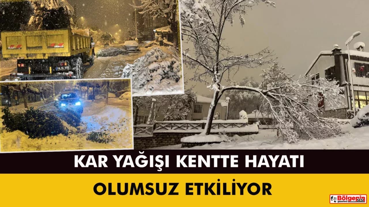 Karabük'te kar ağırlığına dayanamayan çok sayıda ağacın dalların kırıldı