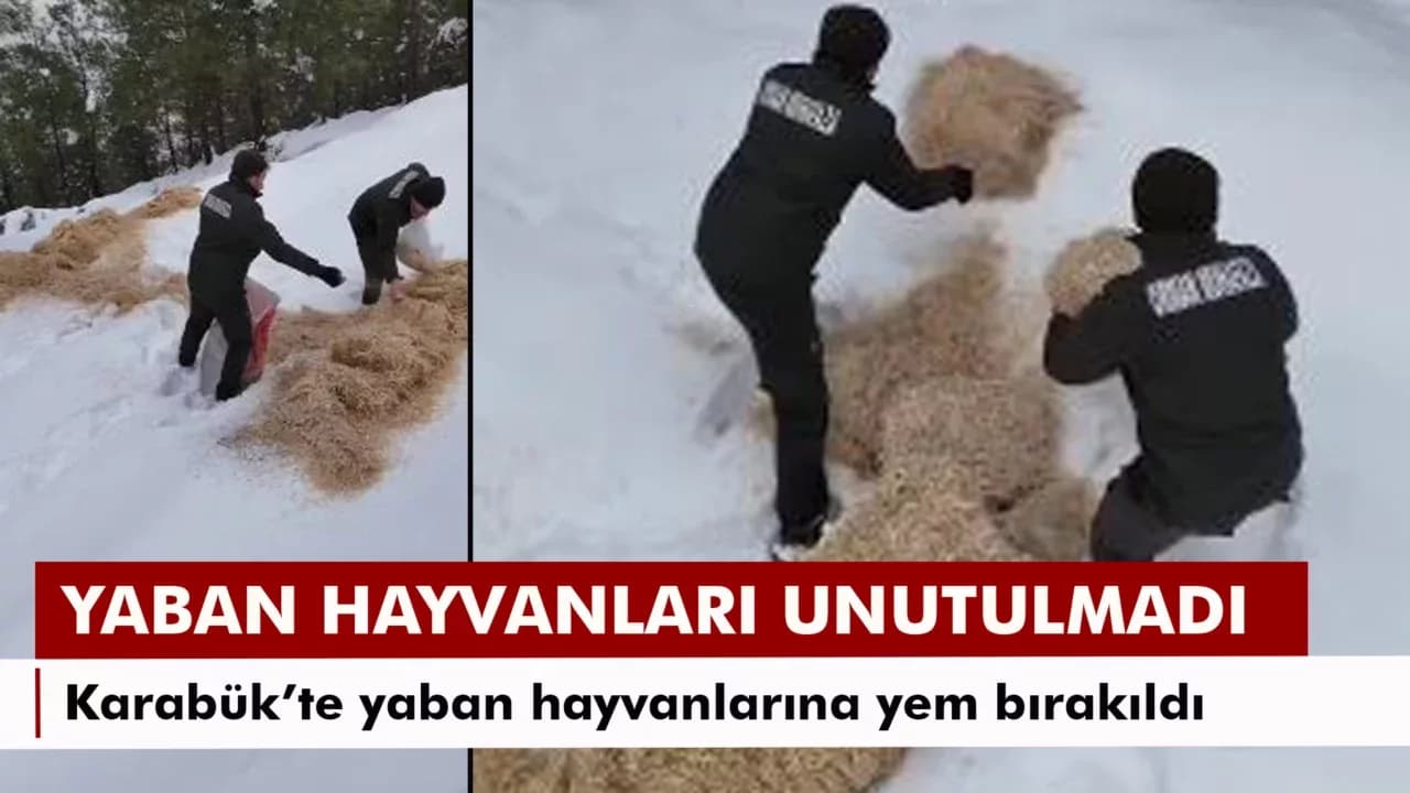 Karabük’te yaban hayvanlarına kış desteği