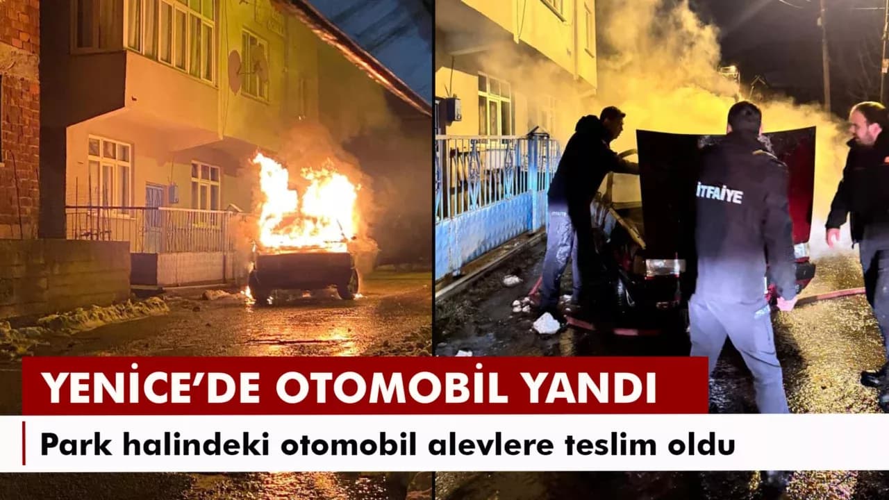 Park halindeki otomobil alevlere teslim oldu
