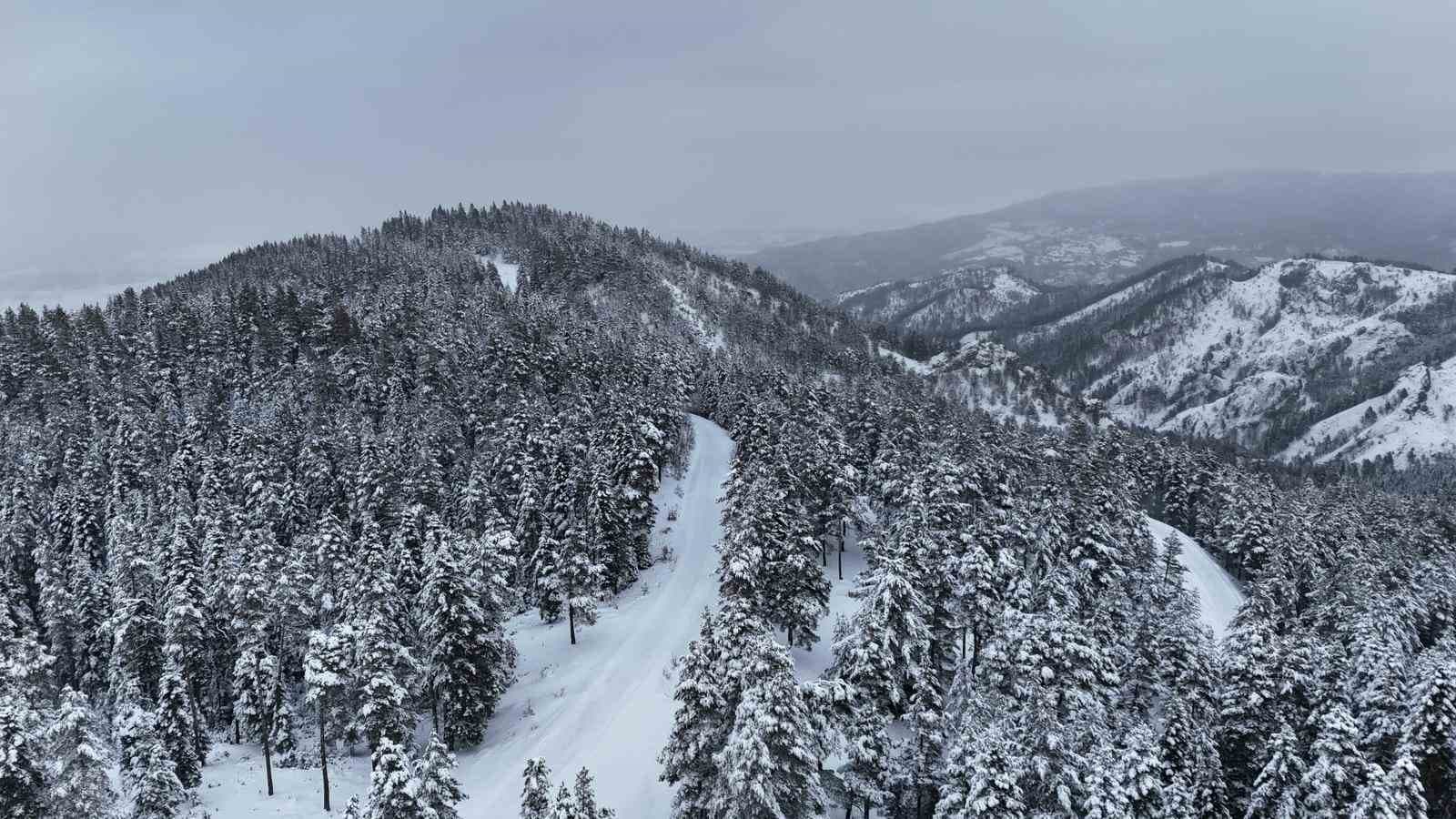 Kastamonu ormanlarında kış güzelliği