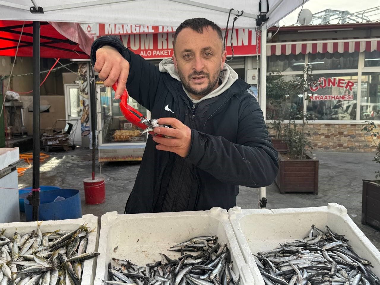 Zonguldak’ta tezgahlar istavritle şenlendi