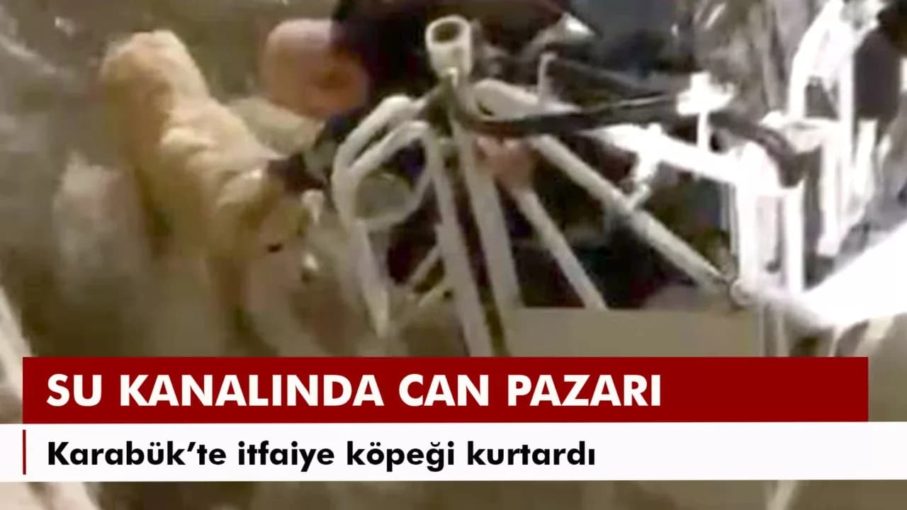 Karabük'te su kanalına düşen köpeği itfaiye kurtardı
