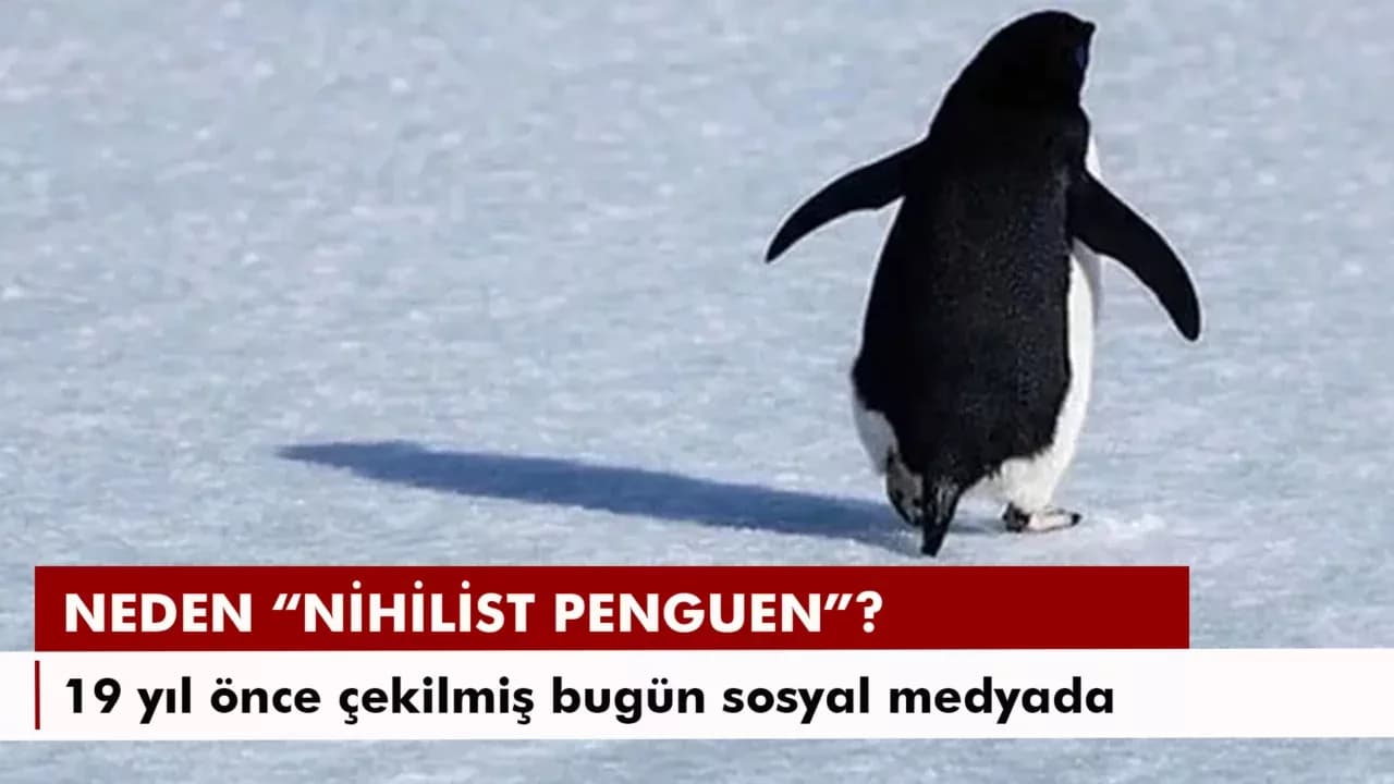 NİHİLİST PENGUEN NEDEN GÜNDEMDE?