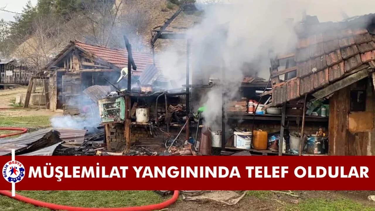 Karabük'te müştemilat yangını: 2 köpek yavrusu telef oldu