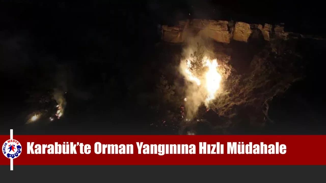 Karabük’te ormanlık alanda çıkan örtü yangını söndürüldü