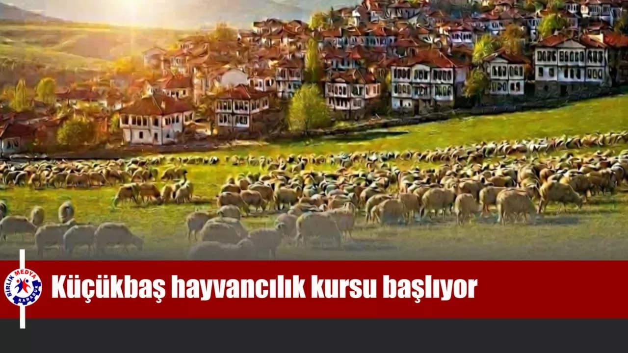 Safranbolu’da küçükbaş hayvancılık kursu başlıyor