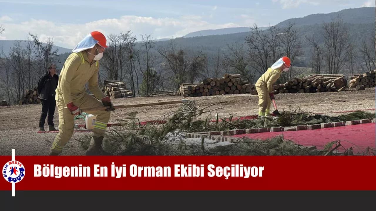 Karabük’te Orman Kahramanları yarışıyor