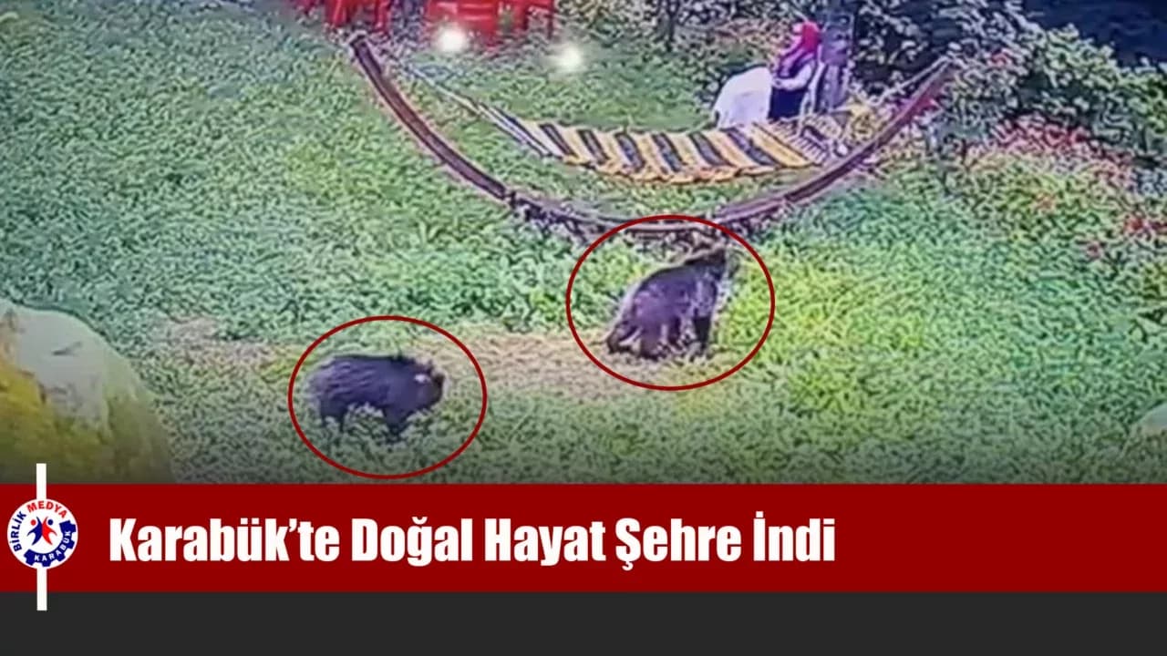 Bahçeye giren yavru ayılar kamerada