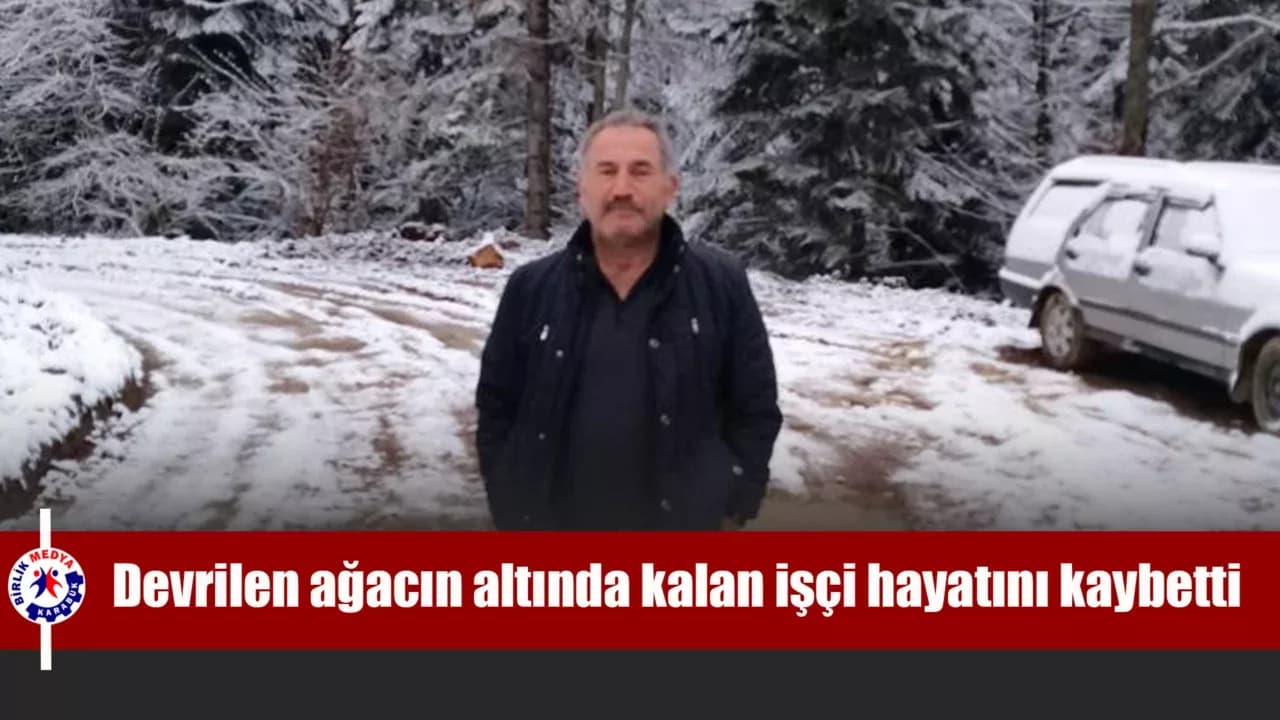 Devrilen ağacın altında kalan işçi hayatını kaybetti