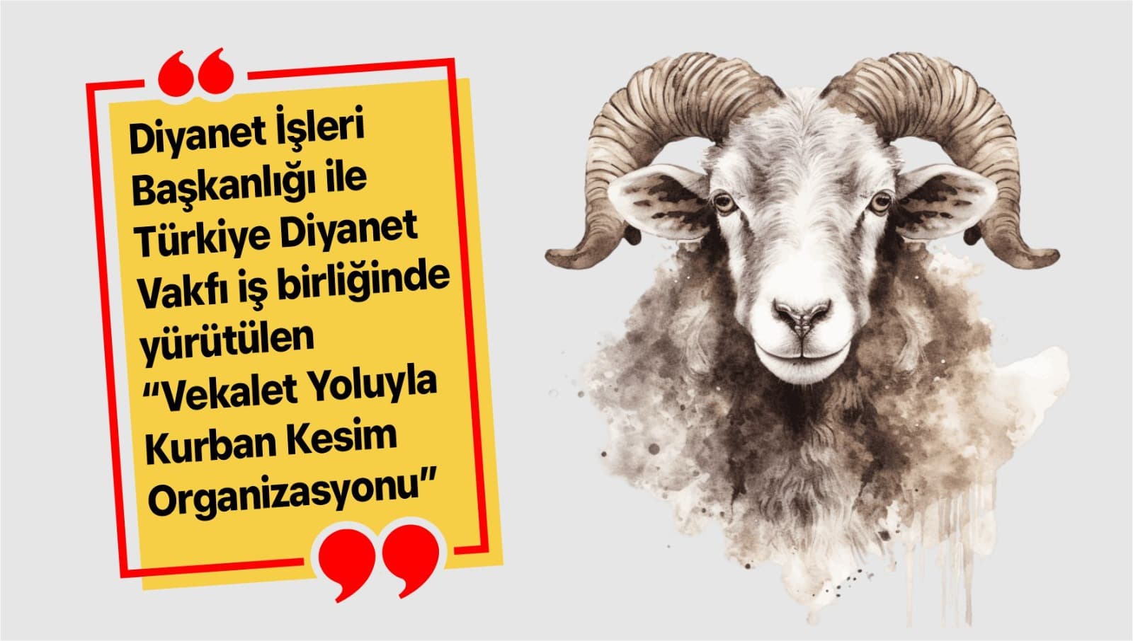 “Vekalet Yoluyla Kurban Kesim Organizasyonu”