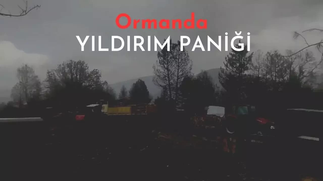 Orman işçilerinin yakınına yıldırım düştü, o anlar korkuya neden oldu