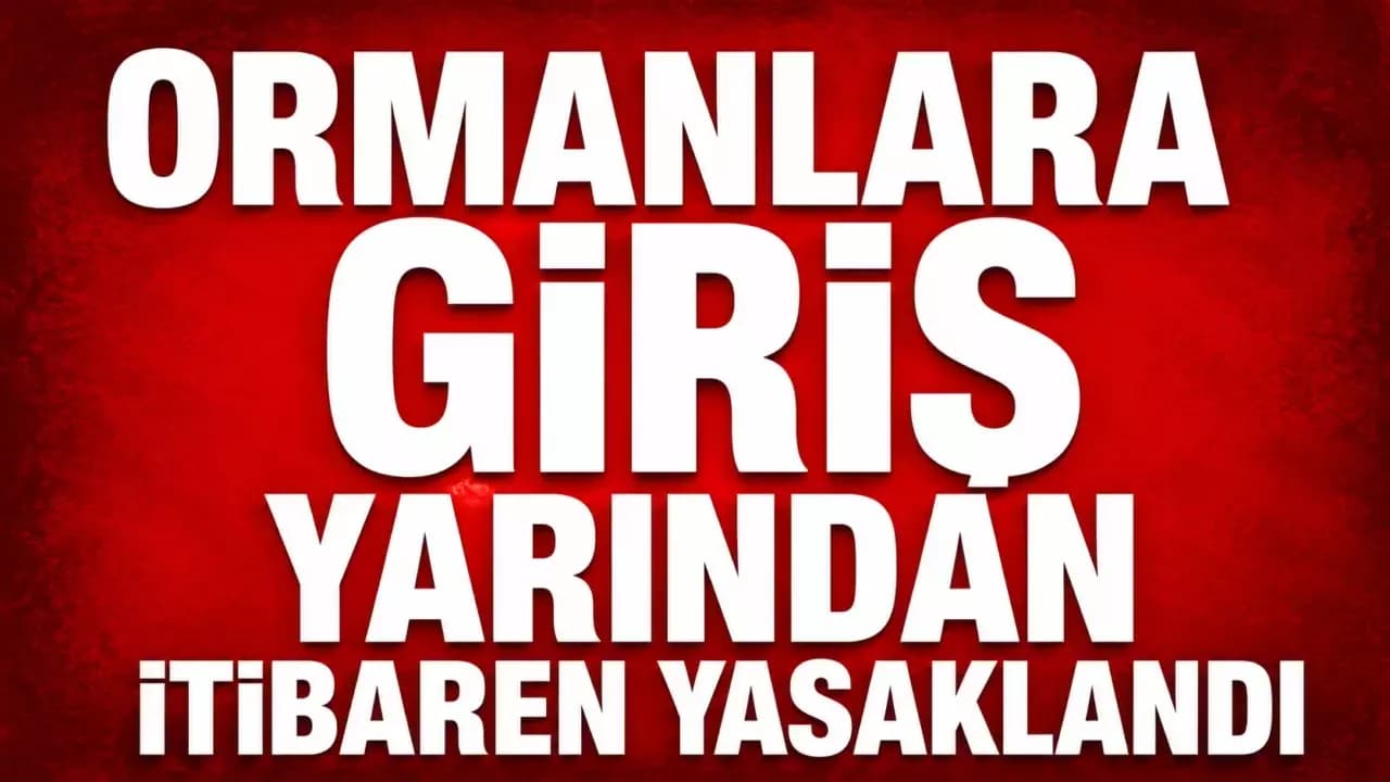 Karabük'te Orman Tedbirleri Yarın Başlıyor