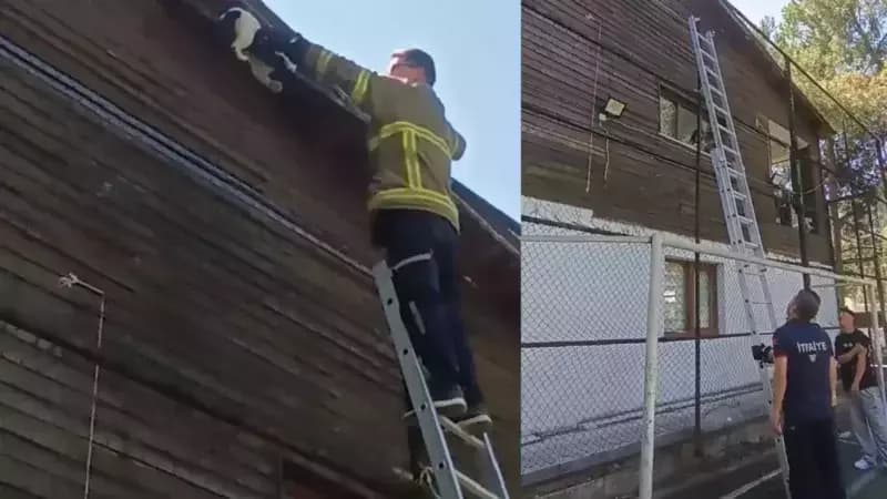 Safranbolu’da mahsur kalan kediyi itfaiye kurtardı