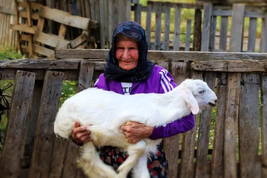 Emine Nine: 94 yaşında, 90 yıldır keçileriyle dağlarda