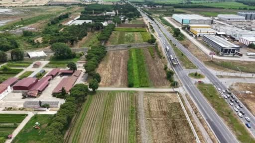 Samsun’dan ’Yeşil Vatan’a yılda 3 milyon fidan
