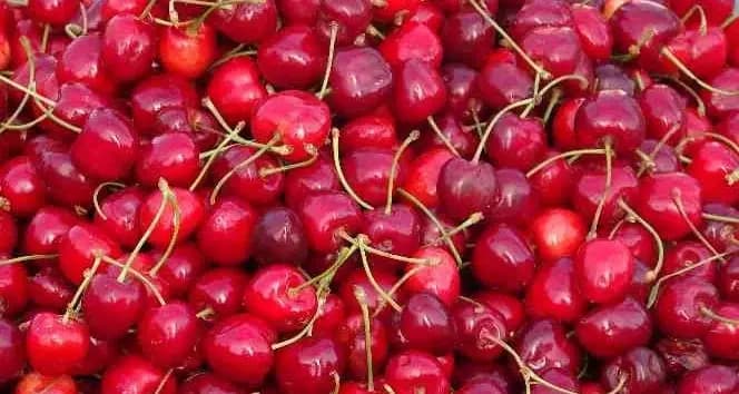 Kiraz yedikten sonra ölen vatandaşın ardından eşi de vefat etti