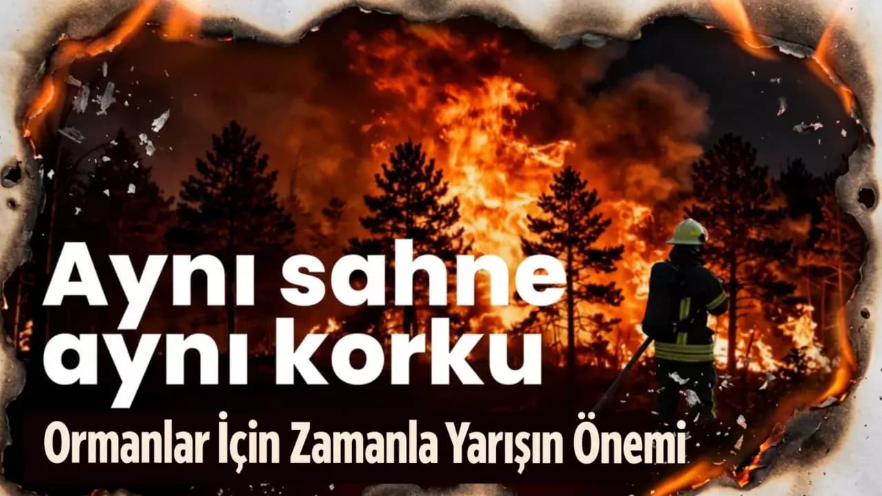 Karabük Ormanları İçin Erken Müdahale Sevindirdi