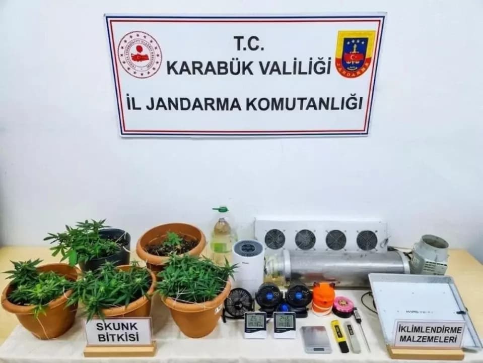 Karabük'te uyuşturucu operasyonu: Skunk serası ortaya çıkarıldı