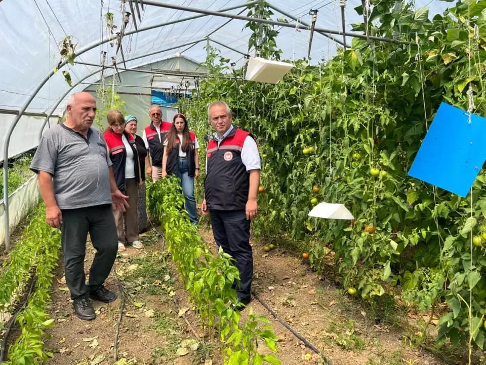 Yenice'de sebze üreticilerine tarla ve sera ziyareti