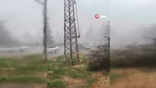 Erbaa’da yağmur ve fırtına ağacı devirdi
