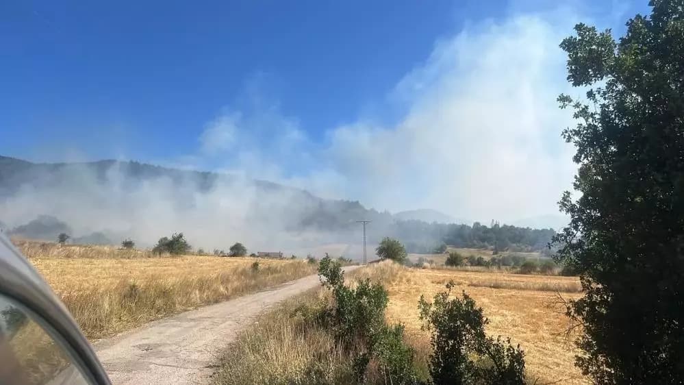 Eskipazar'daki anız yangını ormanlık alana sıçramadan söndürüldü