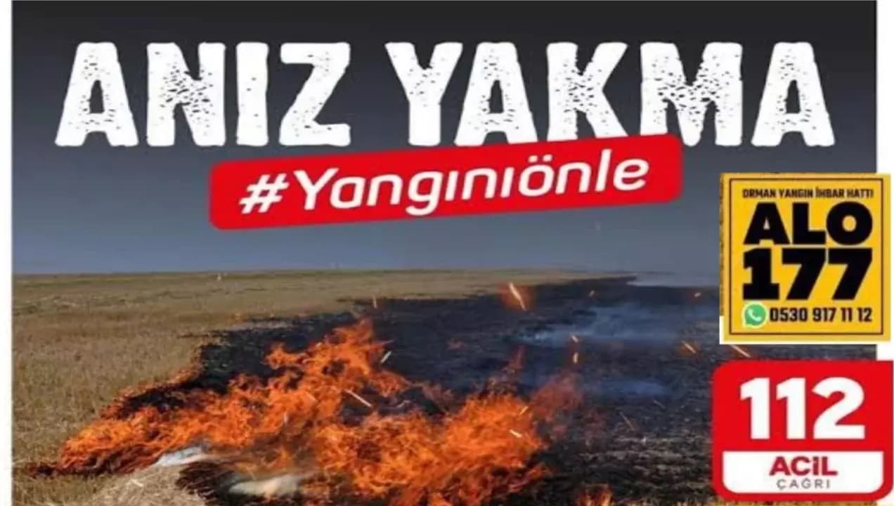 Karabük Valiliği'nden Kritik Orman Yangını Uyarısı: Anız Yakmanın Cezası Hapis!