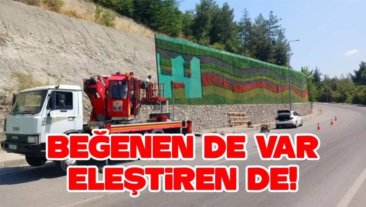 Karabük’teki Düzenleme Tartışma Yarattı: Kimisi Beğendi, Kimisi Kuş Evi Önerdi