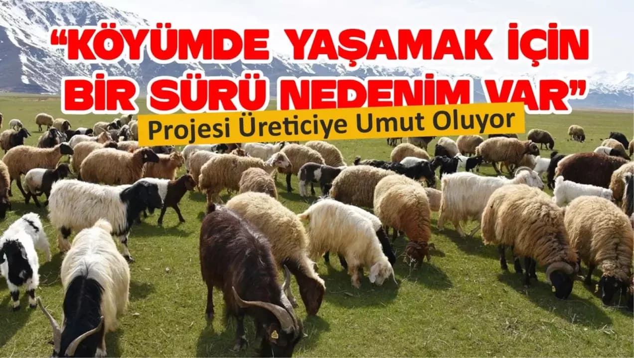 Köye Dönüşe Büyük Destek: “Köyümde Yaşamak İçin Bir Sürü Nedenim Var” Projesi Üreticiye Umut Oluyor