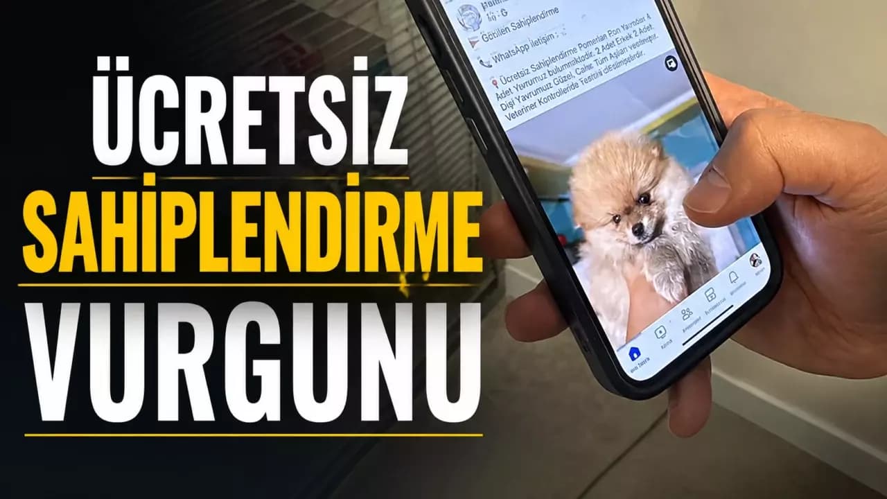 Karabük üzerinden ‘ücretsiz hayvan sahiplendirme’ tuzağı!