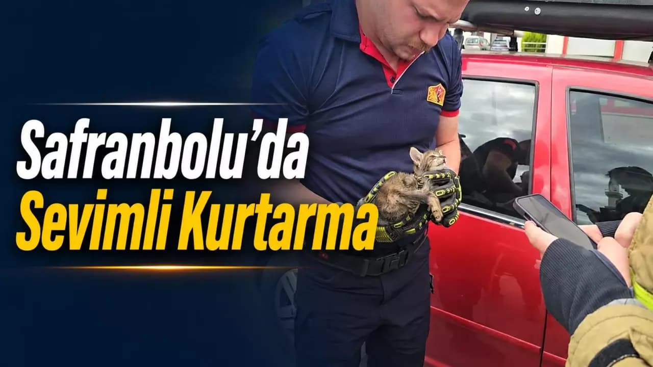 Safranbolu'da bir otomobilin motoruna yavru kedi girdi, telefondan açılan anne kedi sesiyle kurtarıldı