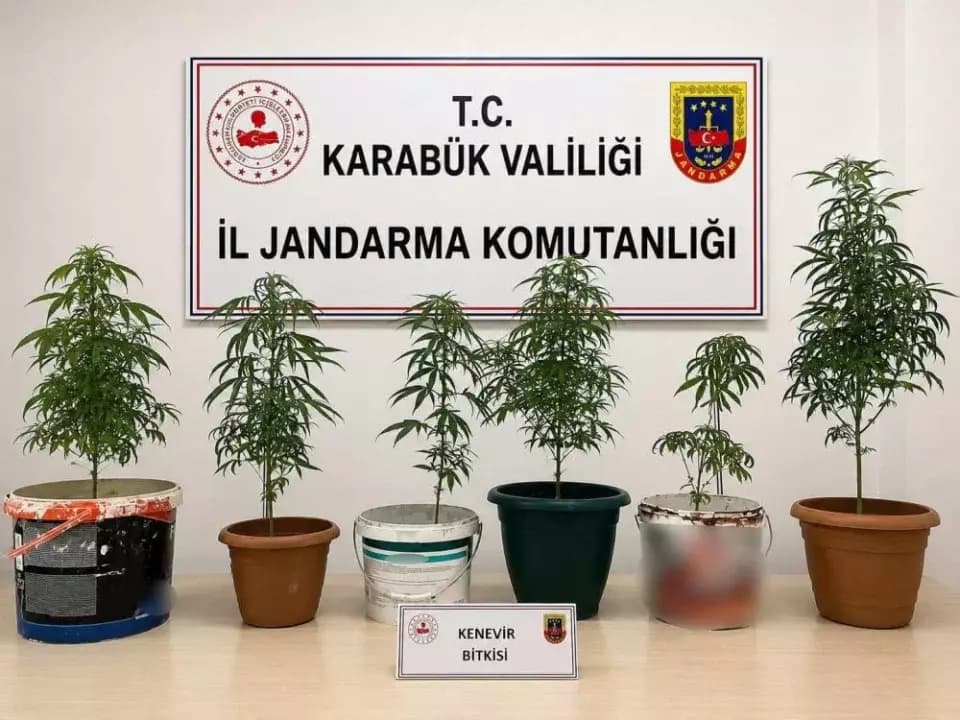 Karabük’te uyuşturucu ve kaçak tütün operasyonu