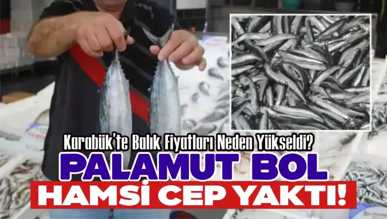Palamut Boldu, Hamsi Cep Yaktı! Karabük'te Balık Fiyatları Neden Yükseldi?