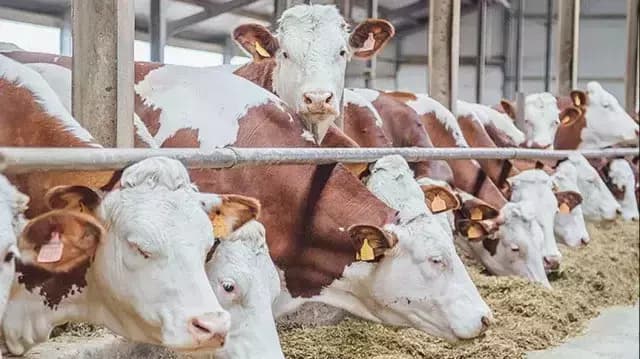 Karabük’e 92,8 milyon lira hibe desteği