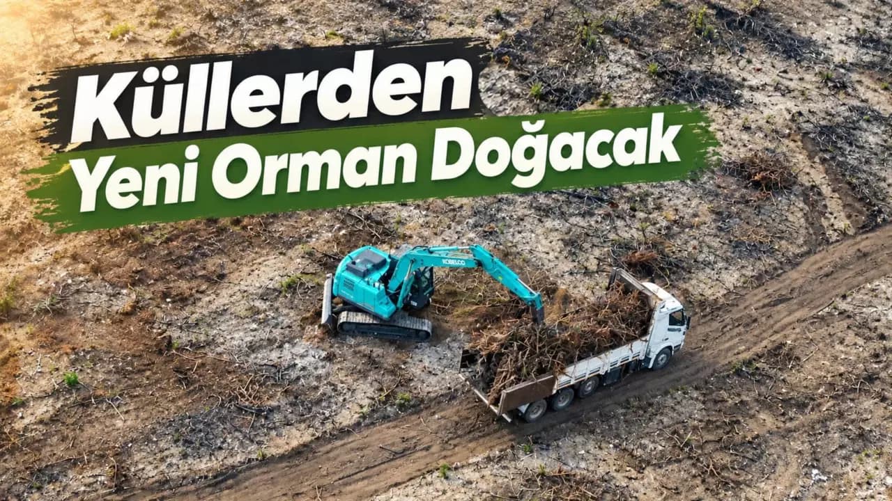 Karabük’te Başlayan Yangının İzleri Siliniyor